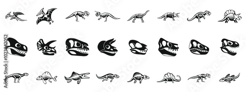 Dinosaur skeleton icons set. Dinosaur skeletons are showing anatomy of prehistoric animals that lived million years ago