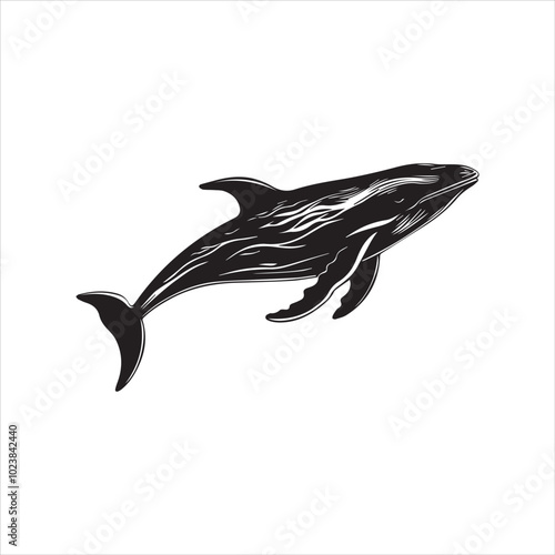 black whale,fish, dolphin, shark, animal, sea, vector, ocean, blue, cartoon, illustration, white, isolated, water, mammal, marine, fin, underwater, silhouette, nature, art, swimming, wildlife, black, 