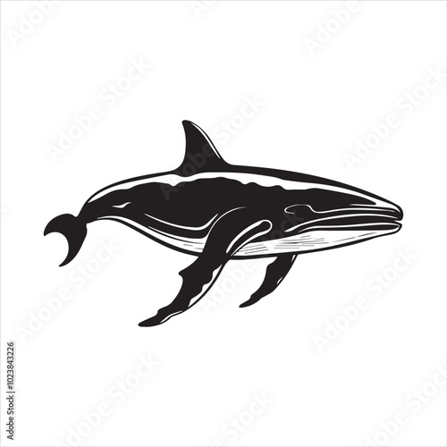 black whale,fish, dolphin, shark, animal, sea, vector, ocean, blue, cartoon, illustration, white, isolated, water, mammal, marine, fin, underwater, silhouette, nature, art, swimming, wildlife, black, 