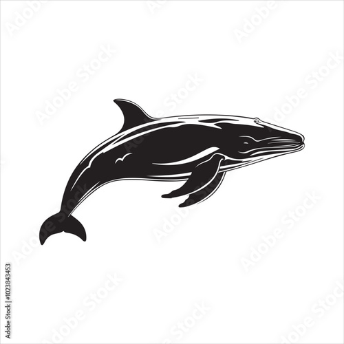 black whale,fish, dolphin, shark, animal, sea, vector, ocean, blue, cartoon, illustration, white, isolated, water, mammal, marine, fin, underwater, silhouette, nature, art, swimming, wildlife, black, 