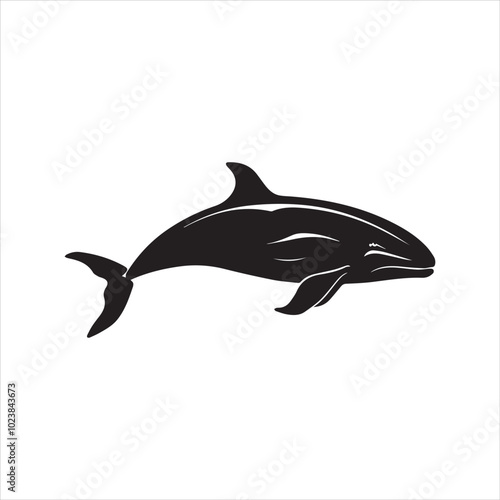black whale,fish, dolphin, shark, animal, sea, vector, ocean, blue, cartoon, illustration, white, isolated, water, mammal, marine, fin, underwater, silhouette, nature, art, swimming, wildlife, black, 