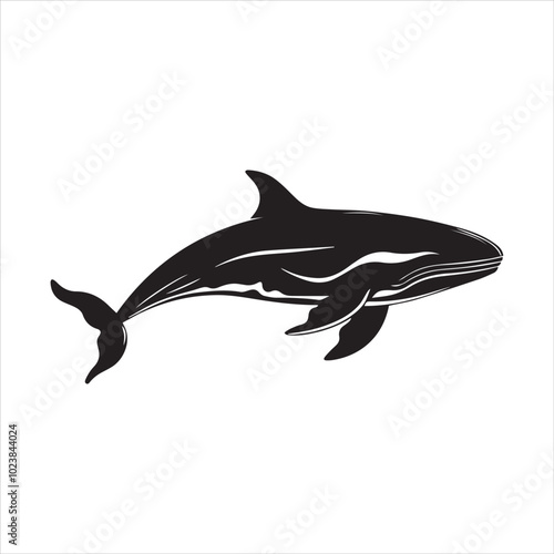 black whale,fish, dolphin, shark, animal, sea, vector, ocean, blue, cartoon, illustration, white, isolated, water, mammal, marine, fin, underwater, silhouette, nature, art, swimming, wildlife, black, 