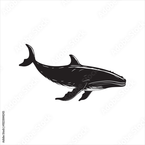 black whale,fish, dolphin, shark, animal, sea, vector, ocean, blue, cartoon, illustration, white, isolated, water, mammal, marine, fin, underwater, silhouette, nature, art, swimming, wildlife, black, 