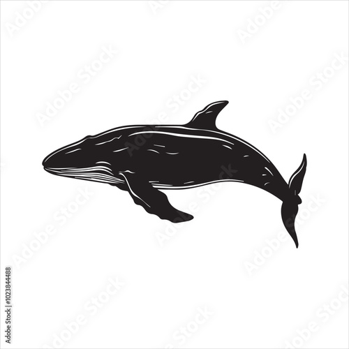 black whale,fish, dolphin, shark, animal, sea, vector, ocean, blue, cartoon, illustration, white, isolated, water, mammal, marine, fin, underwater, silhouette, nature, art, swimming, wildlife, black, 