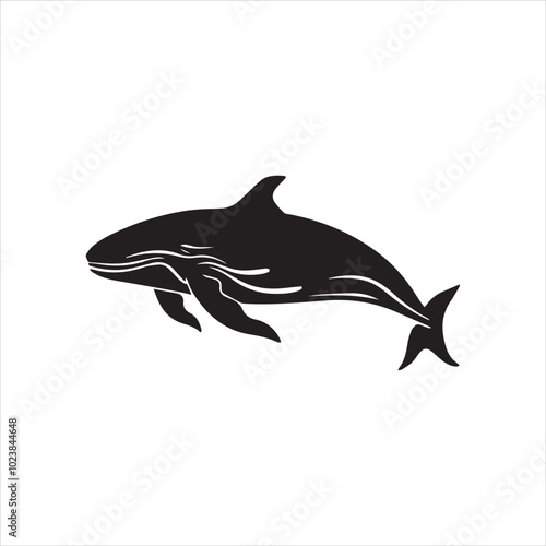 black whale,fish, dolphin, shark, animal, sea, vector, ocean, blue, cartoon, illustration, white, isolated, water, mammal, marine, fin, underwater, silhouette, nature, art, swimming, wildlife, black, 