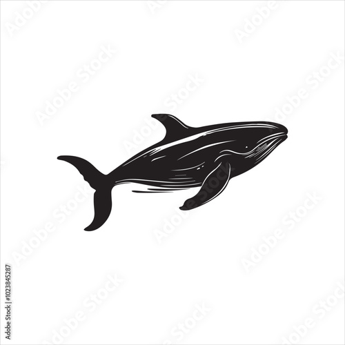 black whale,fish, dolphin, shark, animal, sea, vector, ocean, blue, cartoon, illustration, white, isolated, water, mammal, marine, fin, underwater, silhouette, nature, art, swimming, wildlife, black, 