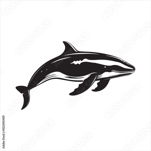 black whale,fish, dolphin, shark, animal, sea, vector, ocean, blue, cartoon, illustration, white, isolated, water, mammal, marine, fin, underwater, silhouette, nature, art, swimming, wildlife, black, 