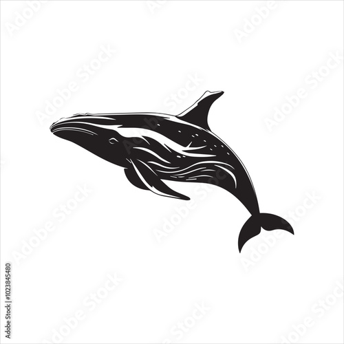 black whale,fish, dolphin, shark, animal, sea, vector, ocean, blue, cartoon, illustration, white, isolated, water, mammal, marine, fin, underwater, silhouette, nature, art, swimming, wildlife, black, 