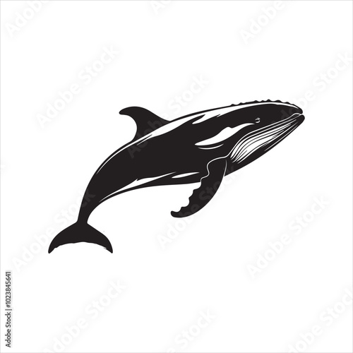 black whale,fish, dolphin, shark, animal, sea, vector, ocean, blue, cartoon, illustration, white, isolated, water, mammal, marine, fin, underwater, silhouette, nature, art, swimming, wildlife, black, 