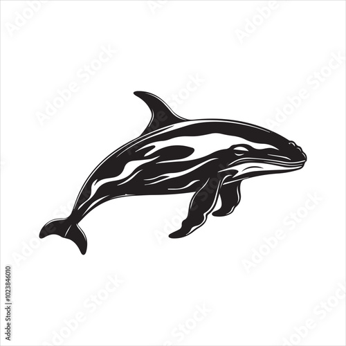 black whale,fish, dolphin, shark, animal, sea, vector, ocean, blue, cartoon, illustration, white, isolated, water, mammal, marine, fin, underwater, silhouette, nature, art, swimming, wildlife, black, 