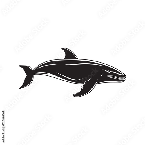 black whale,fish, dolphin, shark, animal, sea, vector, ocean, blue, cartoon, illustration, white, isolated, water, mammal, marine, fin, underwater, silhouette, nature, art, swimming, wildlife, black, 