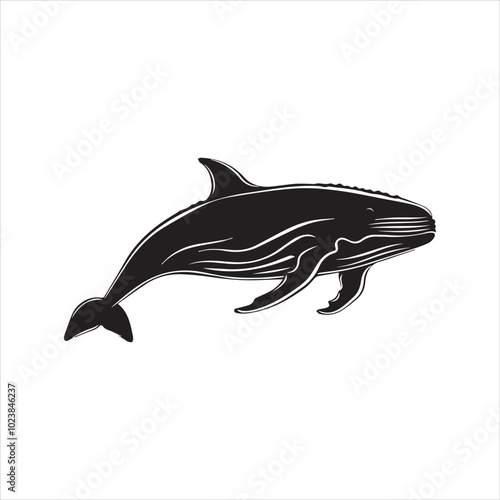 black whale,fish, dolphin, shark, animal, sea, vector, ocean, blue, cartoon, illustration, white, isolated, water, mammal, marine, fin, underwater, silhouette, nature, art, swimming, wildlife, black, 