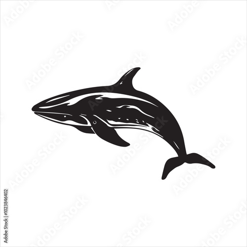 black whale,fish, dolphin, shark, animal, sea, vector, ocean, blue, cartoon, illustration, white, isolated, water, mammal, marine, fin, underwater, silhouette, nature, art, swimming, wildlife, black, 