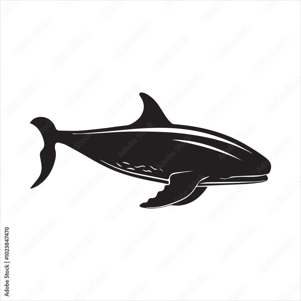 black whale,fish, dolphin, shark, animal, sea, vector, ocean, blue, cartoon, illustration, white, isolated, water, mammal, marine, fin, underwater, silhouette, nature, art, swimming, wildlife, black, black whale,fish, dolphin, shark, animal, sea, vector, ocean, blue, cartoon, illustration, white, isolated, water, mammal, marine, fin, underwater, silhouette, nature, art, swimming, wildlife, black,