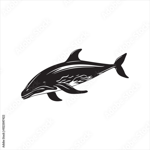 black whale,fish, dolphin, shark, animal, sea, vector, ocean, blue, cartoon, illustration, white, isolated, water, mammal, marine, fin, underwater, silhouette, nature, art, swimming, wildlife, black, 