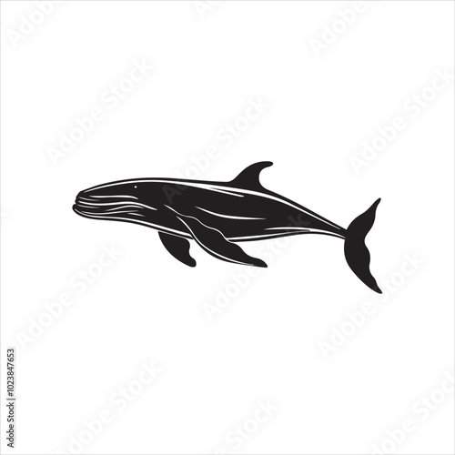black whale,fish, dolphin, shark, animal, sea, vector, ocean, blue, cartoon, illustration, white, isolated, water, mammal, marine, fin, underwater, silhouette, nature, art, swimming, wildlife, black, 