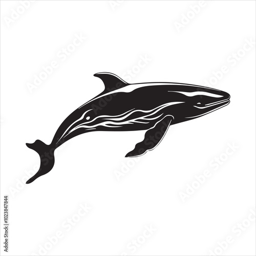 black whale,fish, dolphin, shark, animal, sea, vector, ocean, blue, cartoon, illustration, white, isolated, water, mammal, marine, fin, underwater, silhouette, nature, art, swimming, wildlife, black, 