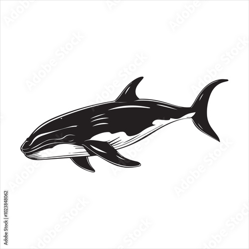 black whale,fish, dolphin, shark, animal, sea, vector, ocean, blue, cartoon, illustration, white, isolated, water, mammal, marine, fin, underwater, silhouette, nature, art, swimming, wildlife, black, 