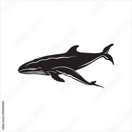 black whale,fish, dolphin, shark, animal, sea, vector, ocean, blue, cartoon, illustration, white, isolated, water, mammal, marine, fin, underwater, silhouette, nature, art, swimming, wildlife, black, 