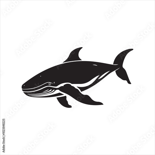 black whale,fish, dolphin, shark, animal, sea, vector, ocean, blue, cartoon, illustration, white, isolated, water, mammal, marine, fin, underwater, silhouette, nature, art, swimming, wildlife, black, 