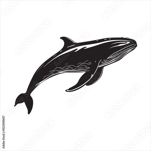 black whale,fish, dolphin, shark, animal, sea, vector, ocean, blue, cartoon, illustration, white, isolated, water, mammal, marine, fin, underwater, silhouette, nature, art, swimming, wildlife, black, 