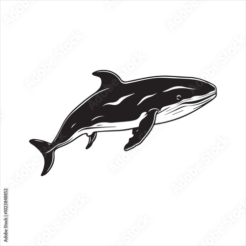 silhouette of a dolphin,fish, dolphin, shark, animal, sea, vector, ocean, water, illustration, cartoon, logo, silhouette, fin, nature, mammal, marine, underwater, swimming, tattoo, blue, art,