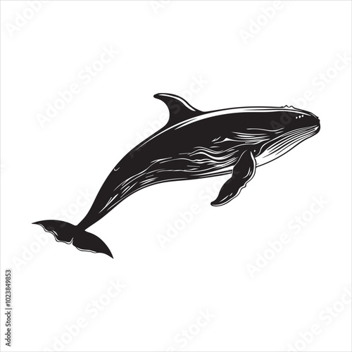 silhouette of a dolphin,fish, dolphin, shark, animal, sea, vector, ocean, water, illustration, cartoon, logo, silhouette, fin, nature, mammal, marine, underwater, swimming, tattoo, blue, art,