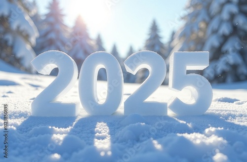 2025 new year sign standing in snow covered forest