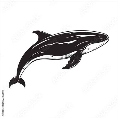 silhouette of a dolphin,fish, dolphin, shark, animal, sea, vector, ocean, water, illustration, cartoon, logo, silhouette, fin, nature, mammal, marine, underwater, swimming, tattoo, blue, art,