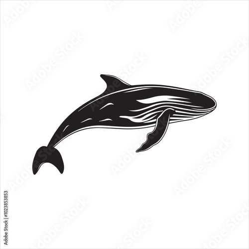 silhouette of a dolphin,fish, dolphin, shark, animal, sea, vector, ocean, water, illustration, cartoon, logo, silhouette, fin, nature, mammal, marine, underwater, swimming, tattoo, blue, art,