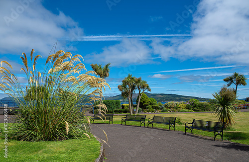 Photography of seaside park in Rothesay, Isle of Bute, Scotland, UK, benches, Pampas grass, palm tree, summer, sunlight, coastal, blue sky with clouds