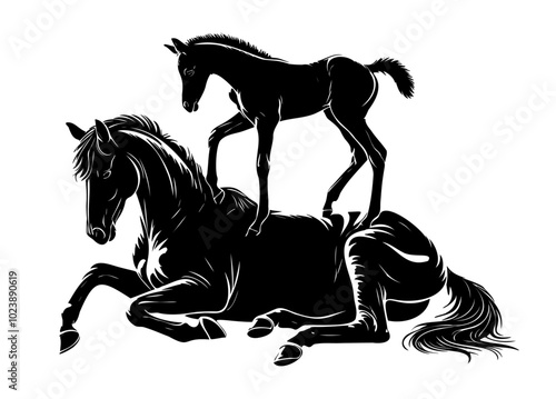 Foal standing on a lying horse. Black and white vector illustration of a foal playfully standing on an adult horse lying down, isolated on a white background. Playfulness and family bond concept. 