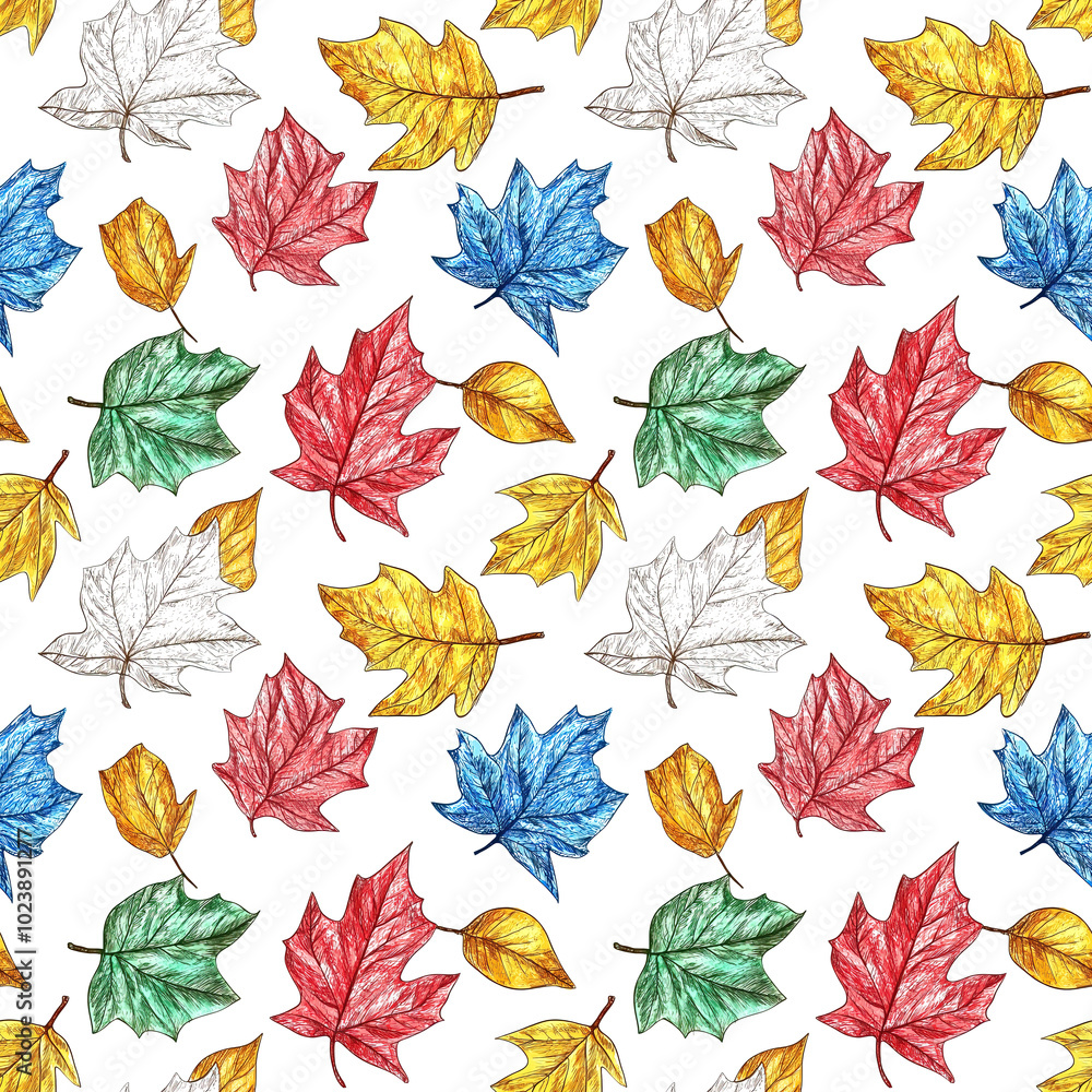 seamless pattern of colorful maple leaves drawn with colored pencil on white background seamless pattern of colorful maple leaves drawn with colored pencil on white background