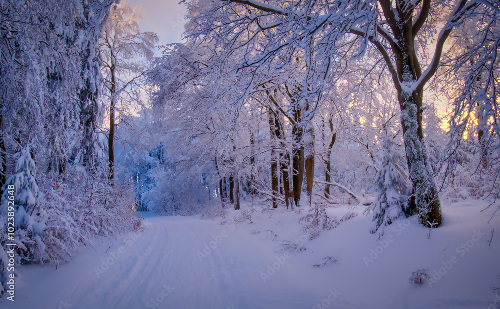 Fototapeta premium Winter landscape with fresh snow covered trees