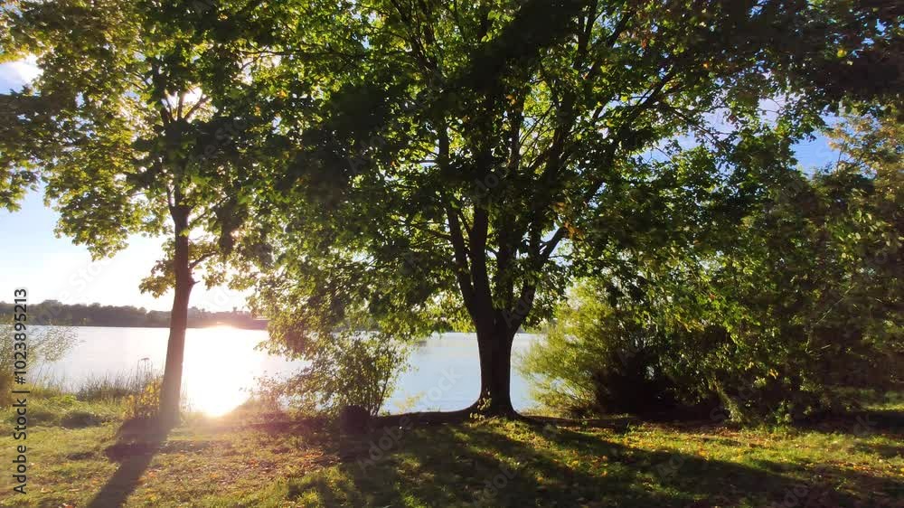Scenic nature view on the coast of a river. Scenic nature view on the coast of a river.