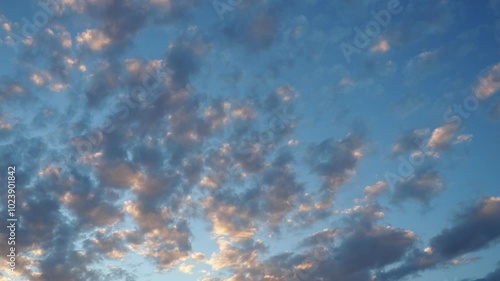 Altocumulus high cumulus heaped cloud genus that belongs mainly to stratocumuliform. Globular masses or rolls in layers or patches. Cumuliform stratocumuliform clouds, altocumulus signifies convection photo