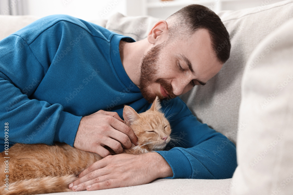 Man petting cute ginger cat on sofa at home Man petting cute ginger cat on sofa at home