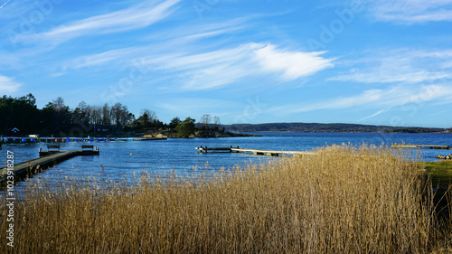 Docks jut into an inlet along the shore
