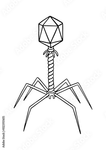 Vector line doodle illustration of bacteriophage