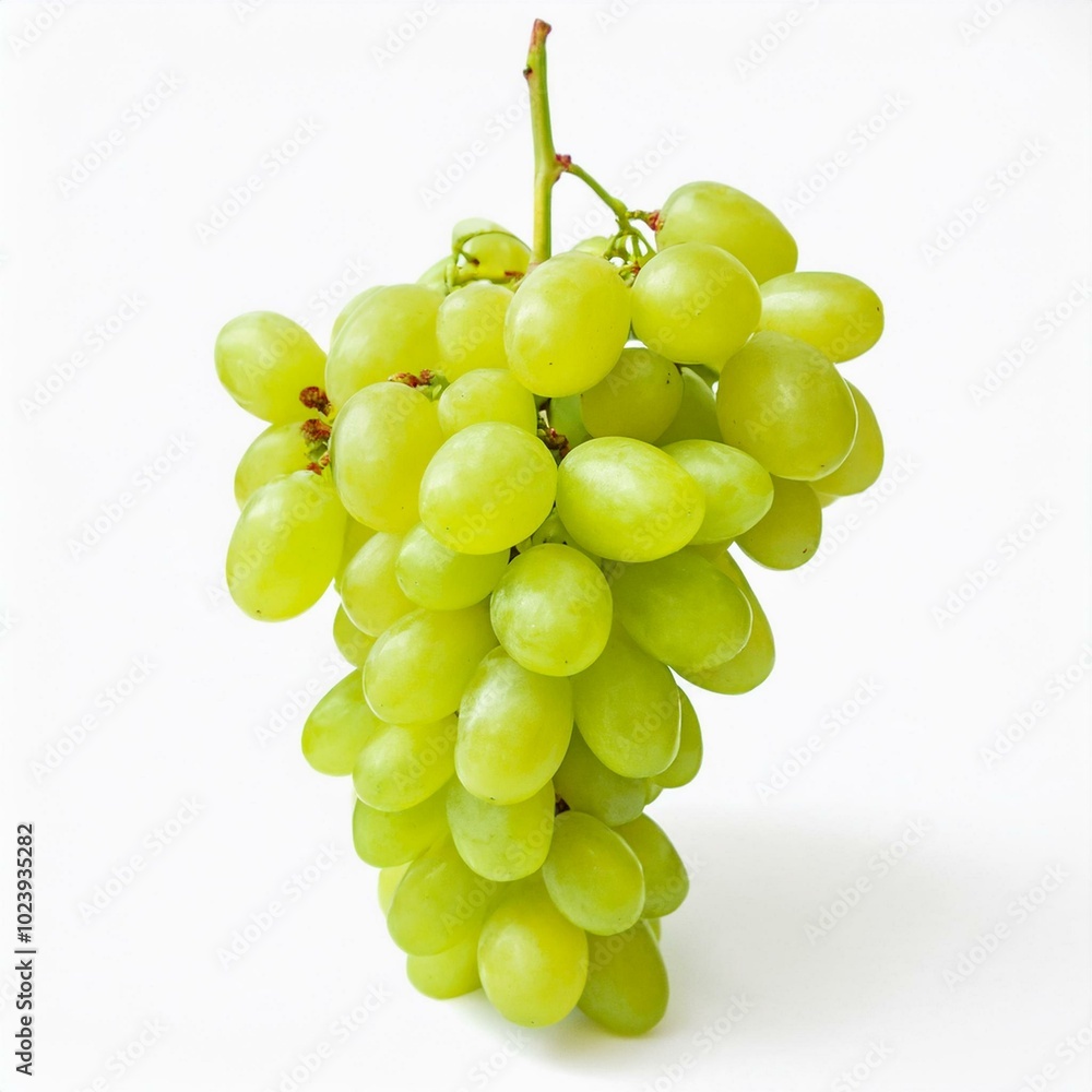 Ripe juicy sweet green grapes bunch isolated on white background Ripe juicy sweet green grapes bunch isolated on white background