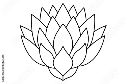 king protea flower vector illustration