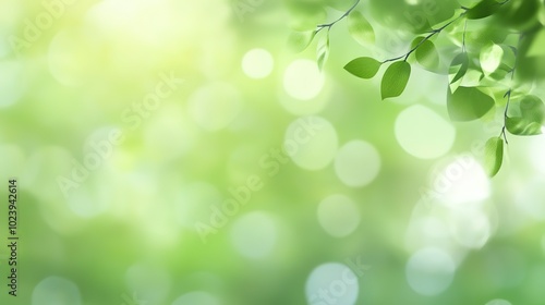 Stylish Gradient Green Background with Soft Blur for Creative Banners, Posters, and Presentations, Ideal for Eco-Friendly and Nature-Inspired Designs