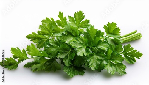 Fresh parsley on white background. 