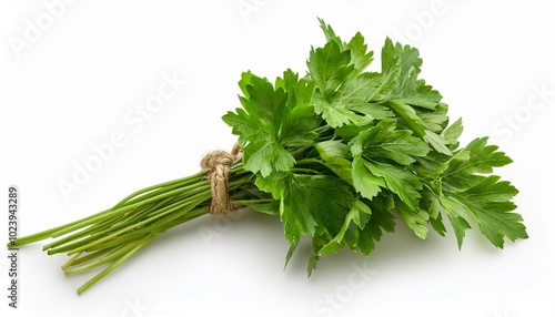 Fresh parsley on white background. 