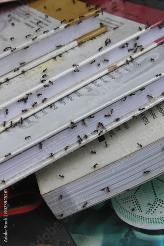 A bunch of ants swarm around a pile of books

