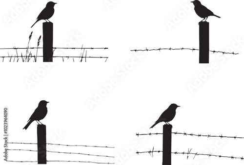 Silhouette of a bird perched on a fence post, sparrow sitting on fence silhouette vector