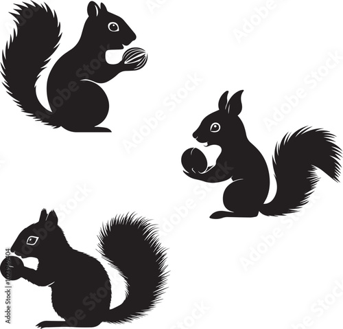 Silhouette of a squirrel nibbling on a nut, set of squirrel silhouette vector