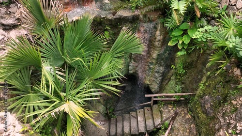 Water cascades over stone steps into a serene pool at the bottom of a lush, tropical sinkhole in mexico's yucatan