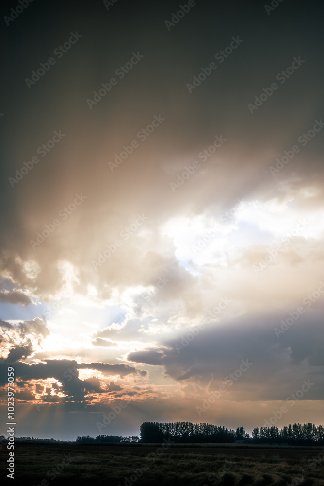 sunset in the sky sunset in the sky