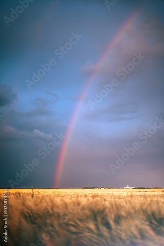 rainbow over the field